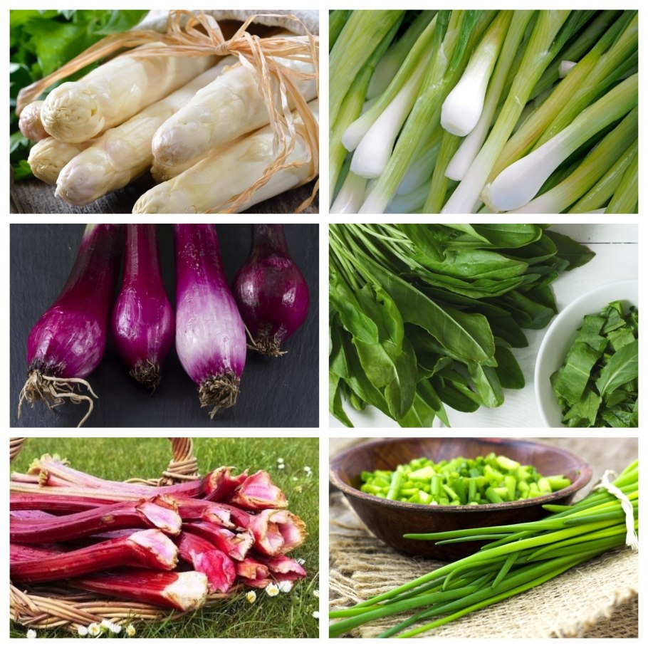 Ревень спаржа артишок