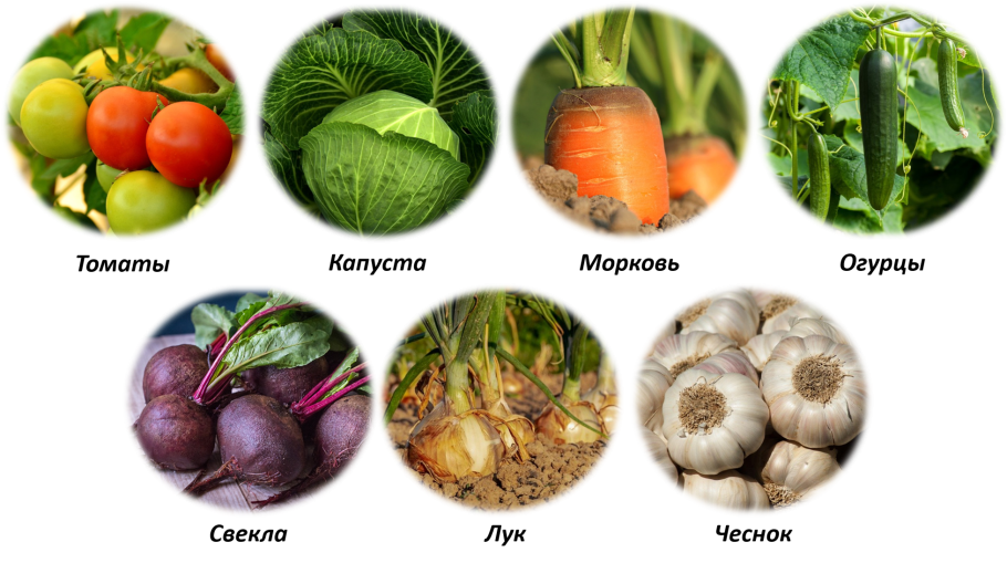 Культурные растения