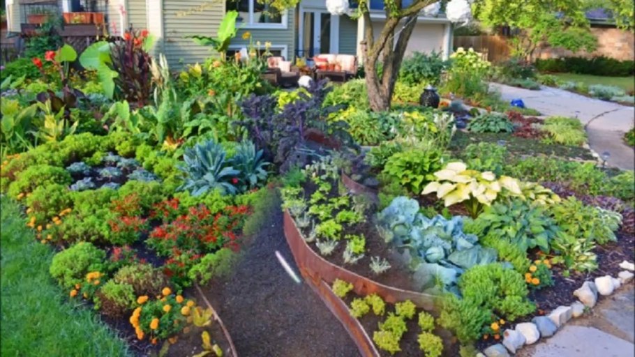 Огородный миксбордер