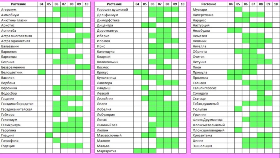 Сроки цветения многолетних цветов по месяцам таблица