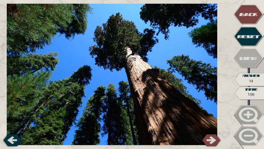 Максимальная высота деревьев