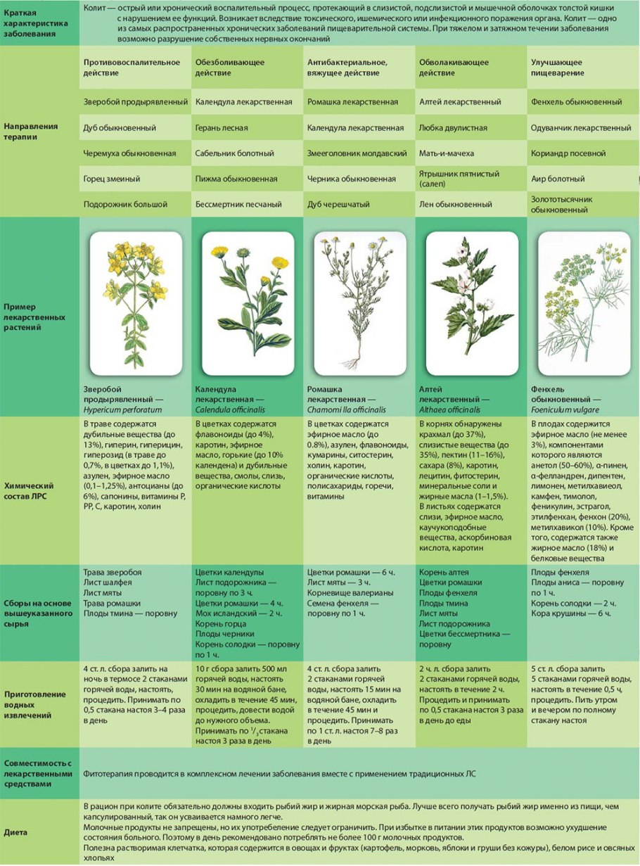 Паслен сладко-Горький растение