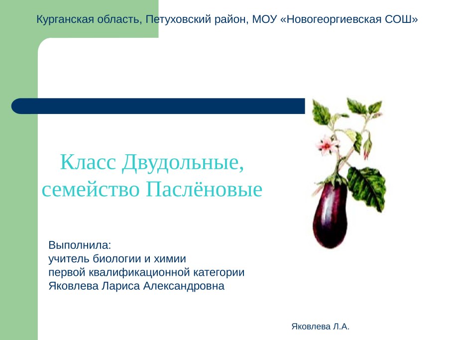 Пасленовые двудольные