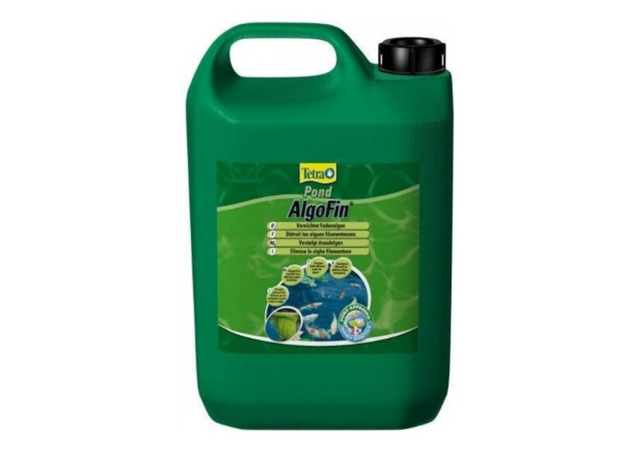 Водоросли для пруда для очистки воды