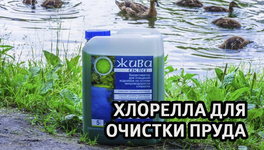 BIOBAC биологическое средство для очистки прудов
