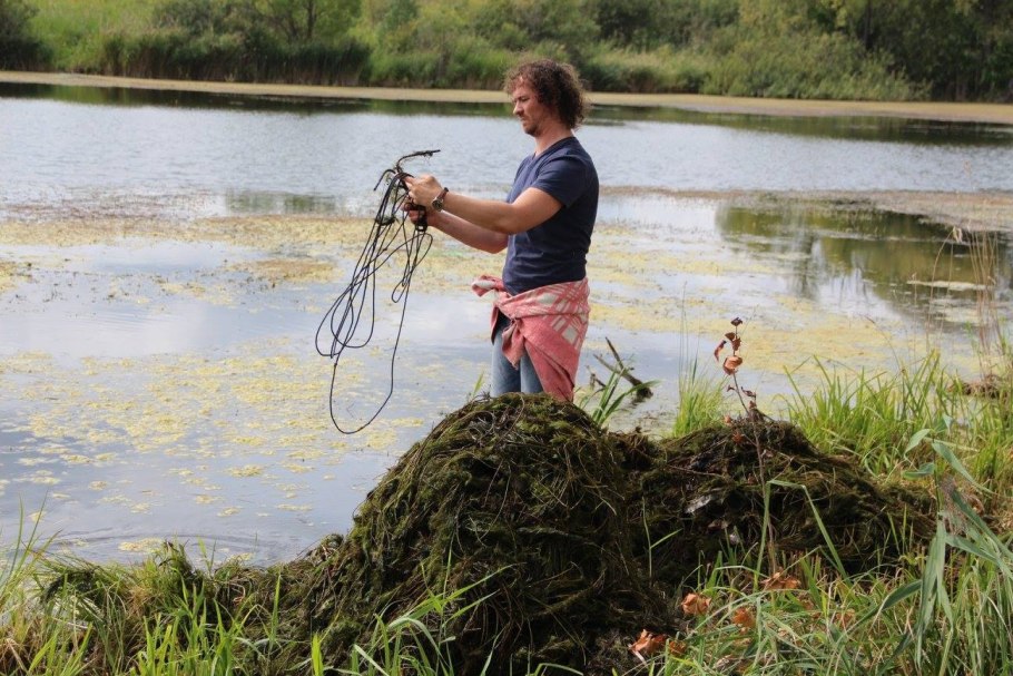 Очистка пруда от водорослей