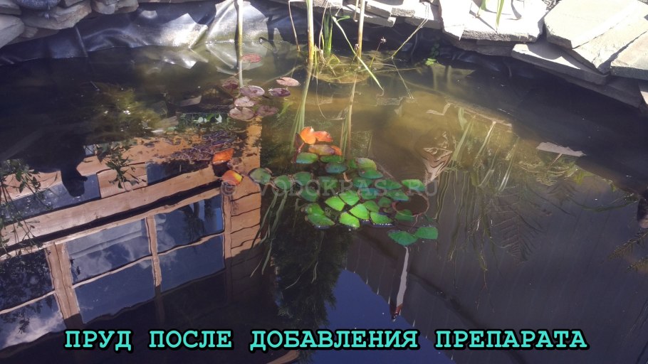 Альготек хлорелла для очистки водоемов