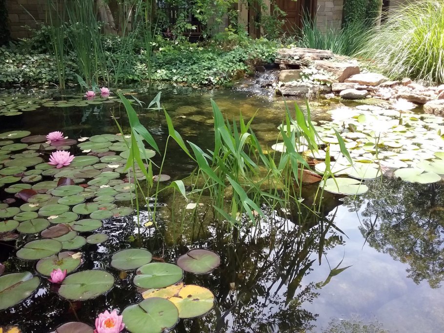 Приспособление для очистки водоемов