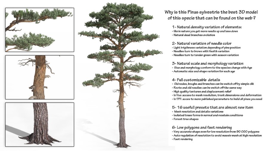 Диаметры крон деревьев таблица