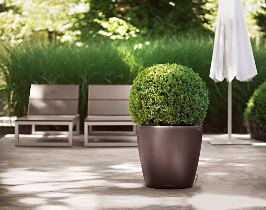 Флористические композиции