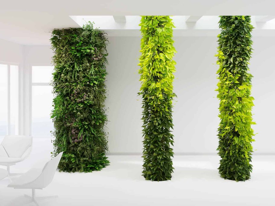 Фитостена колонна