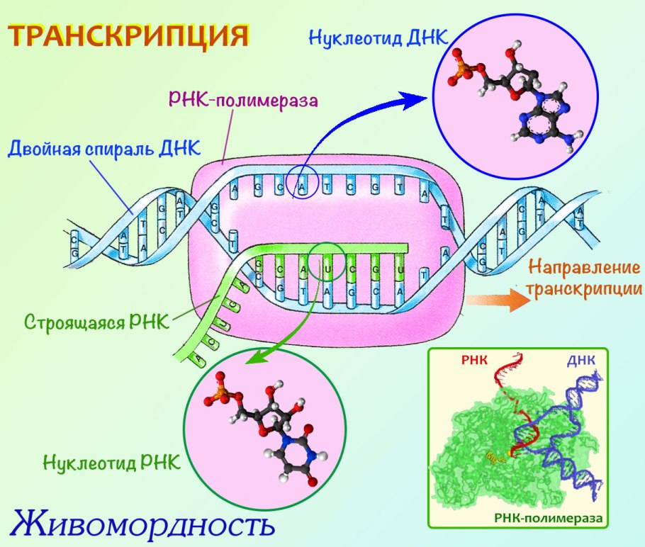 Способы получения энергии