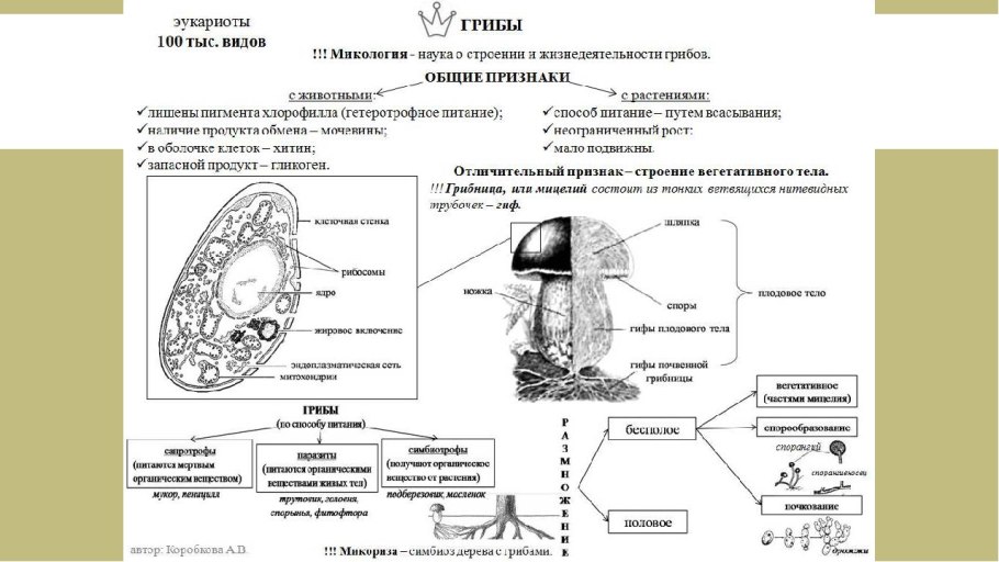 Сабвуфер FBT LS 61a