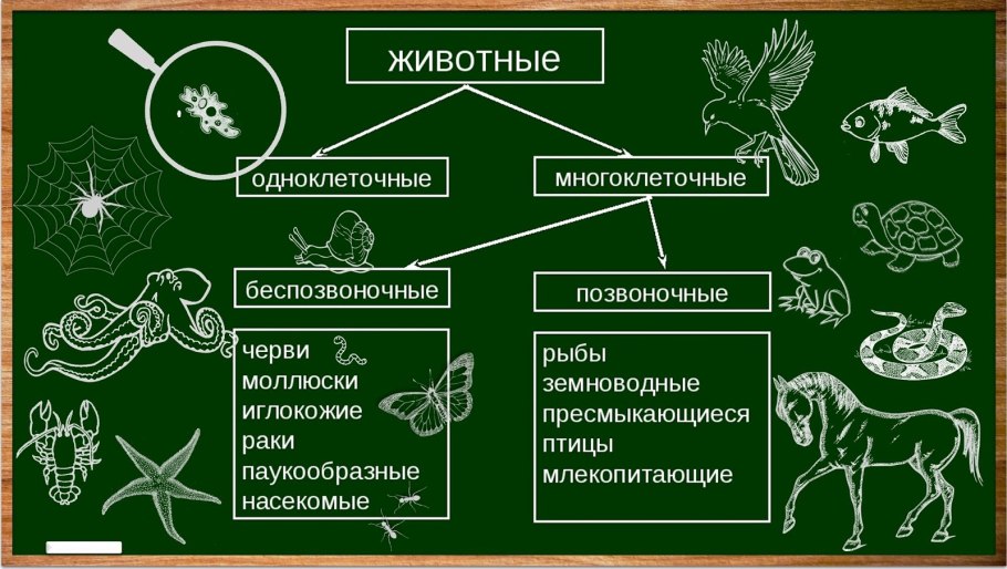 Метод селекции отбор