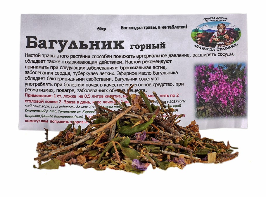 Ледум Палустре