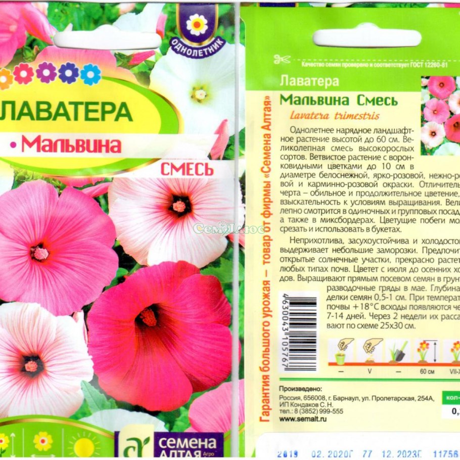 Лаватера тюрингенская