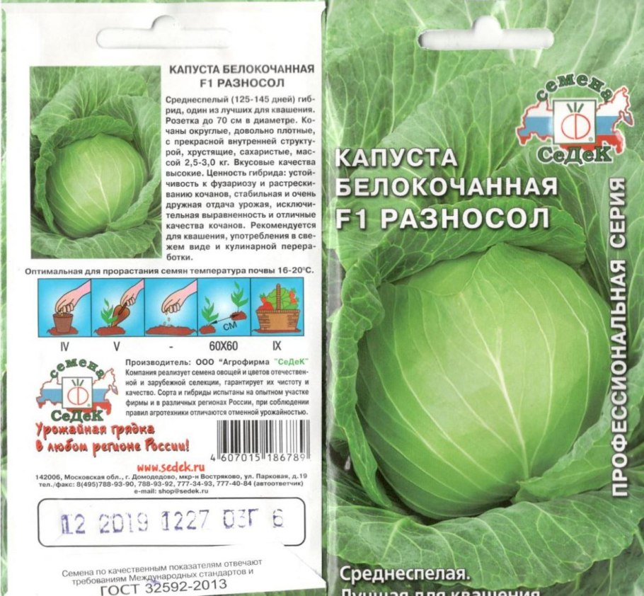 Семена капусты ЗИЕЛОНОР