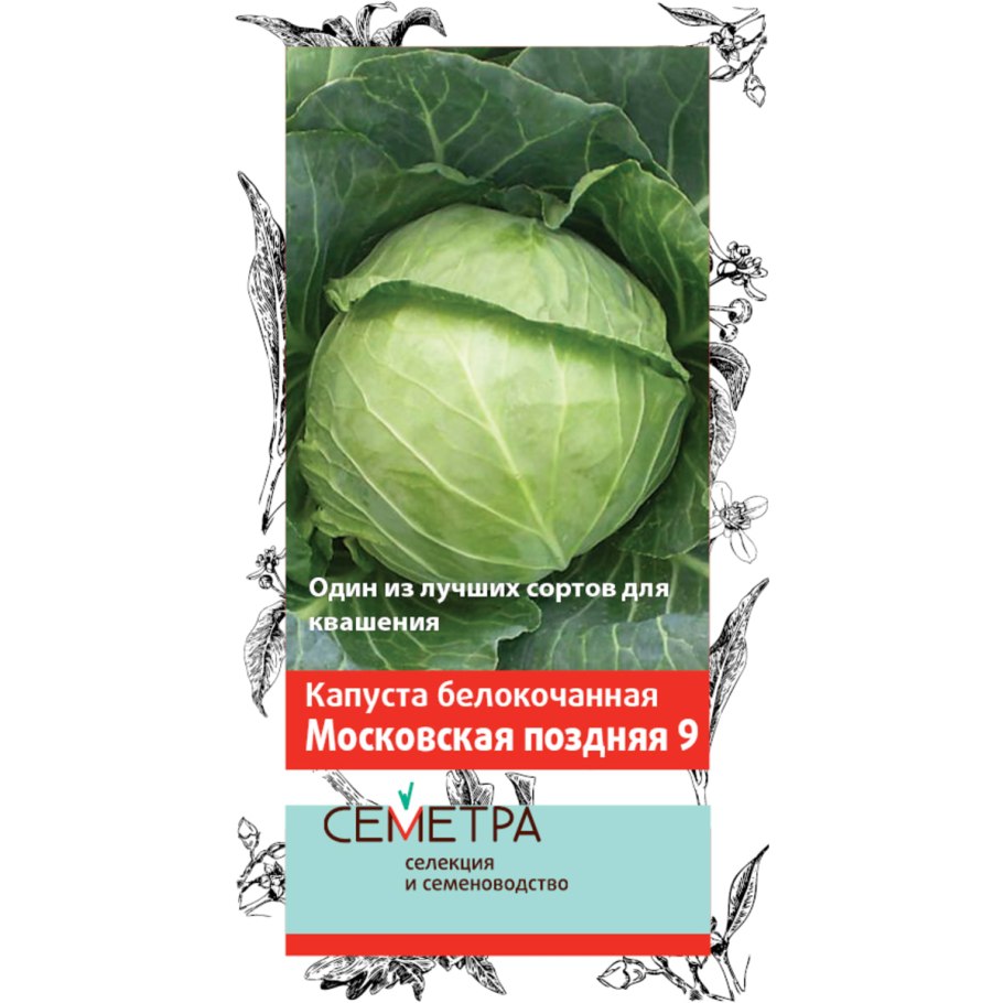 Партнер капуста б/к Настя f1