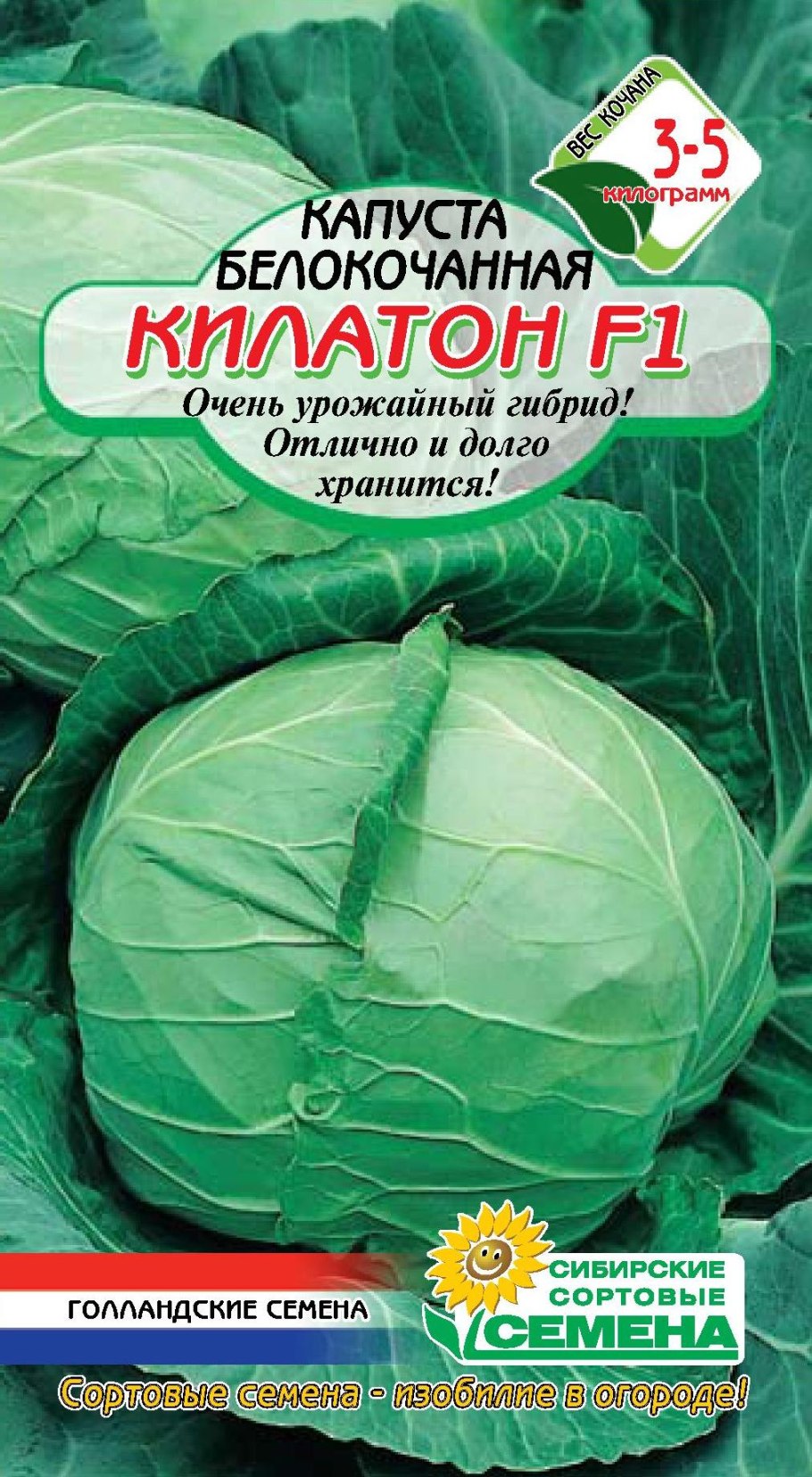 Белокочанная и краснокочанная капуста