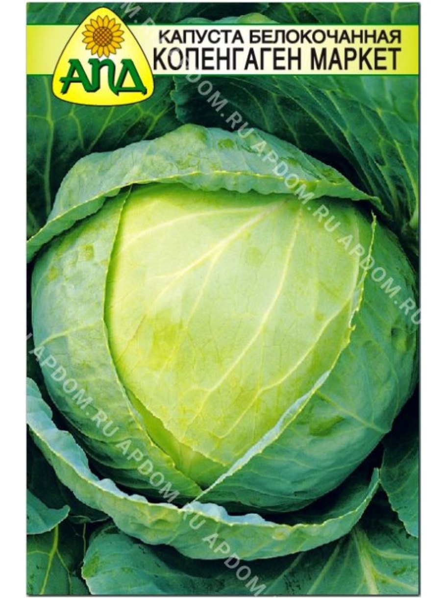 Капуста Июньская Аэлита