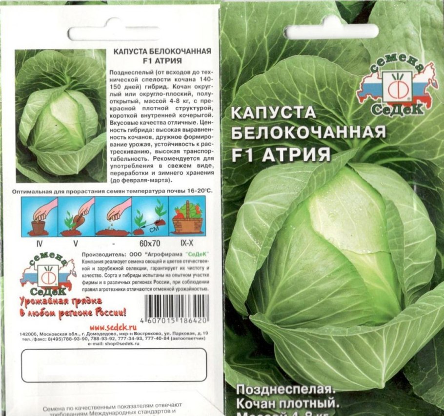 Капуста белокочанная зимовка 1474