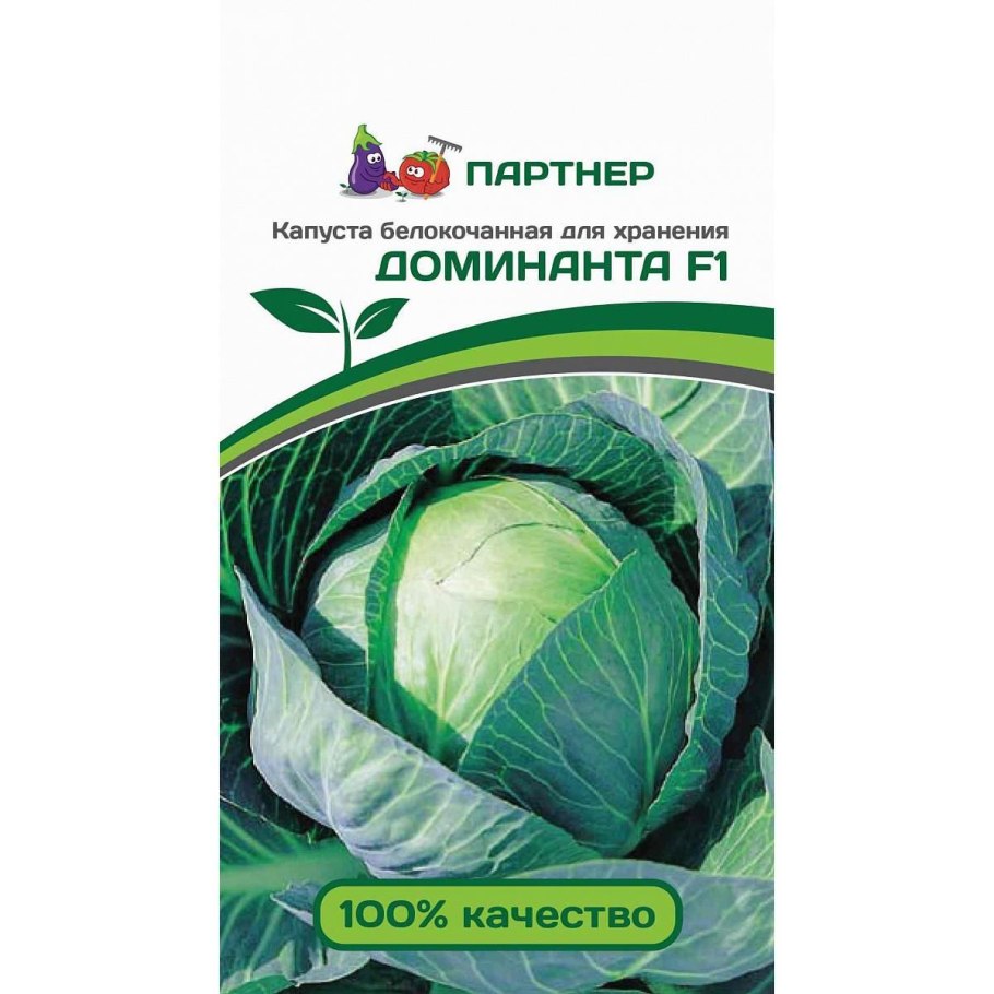 Капуста доминанта f1