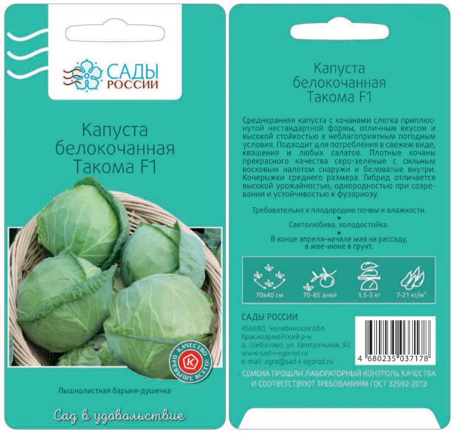 Cемена капусты белокочанной