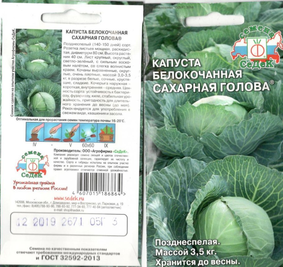 Капуста в Подмосковье