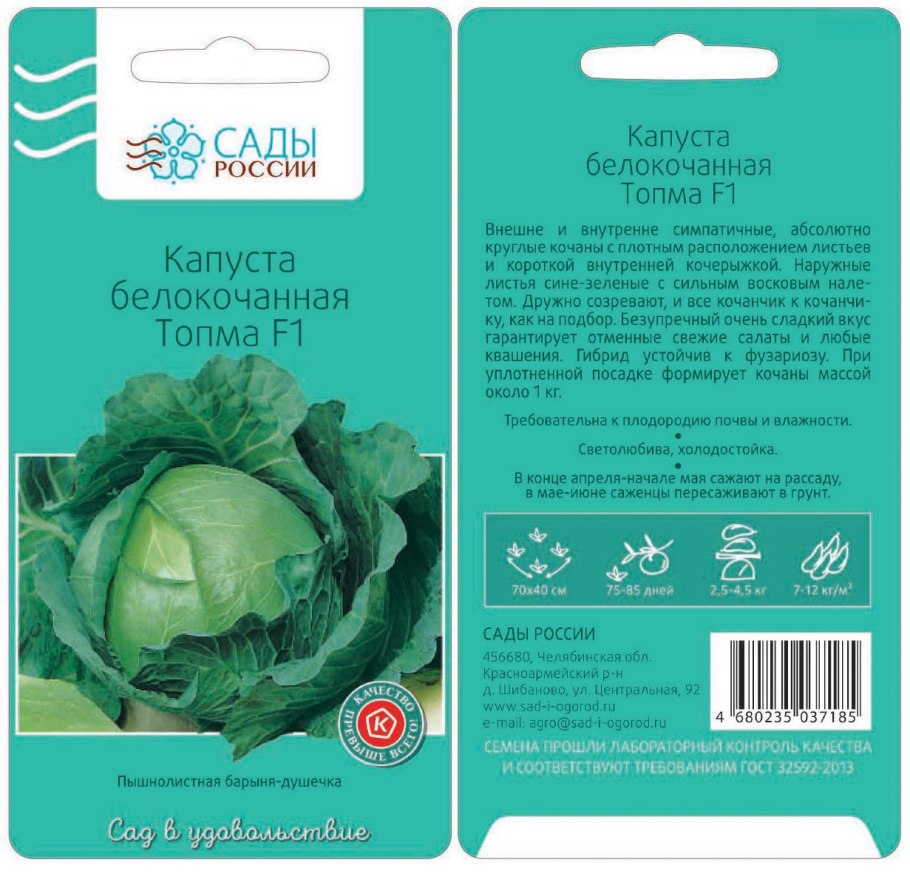 Капуста Линда белокочанная