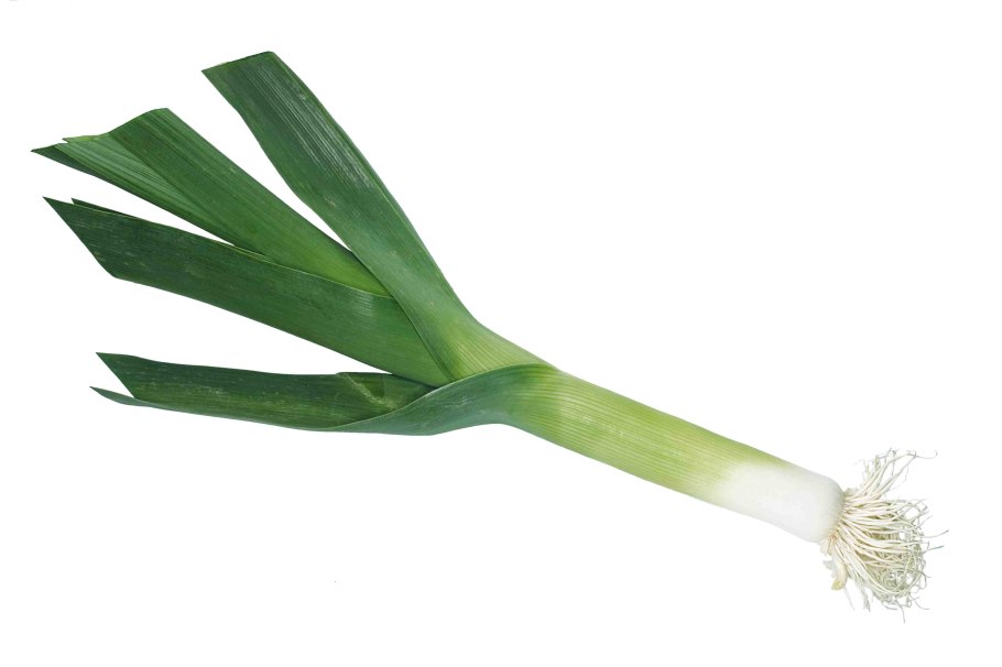 Лук порей победитель 1 г