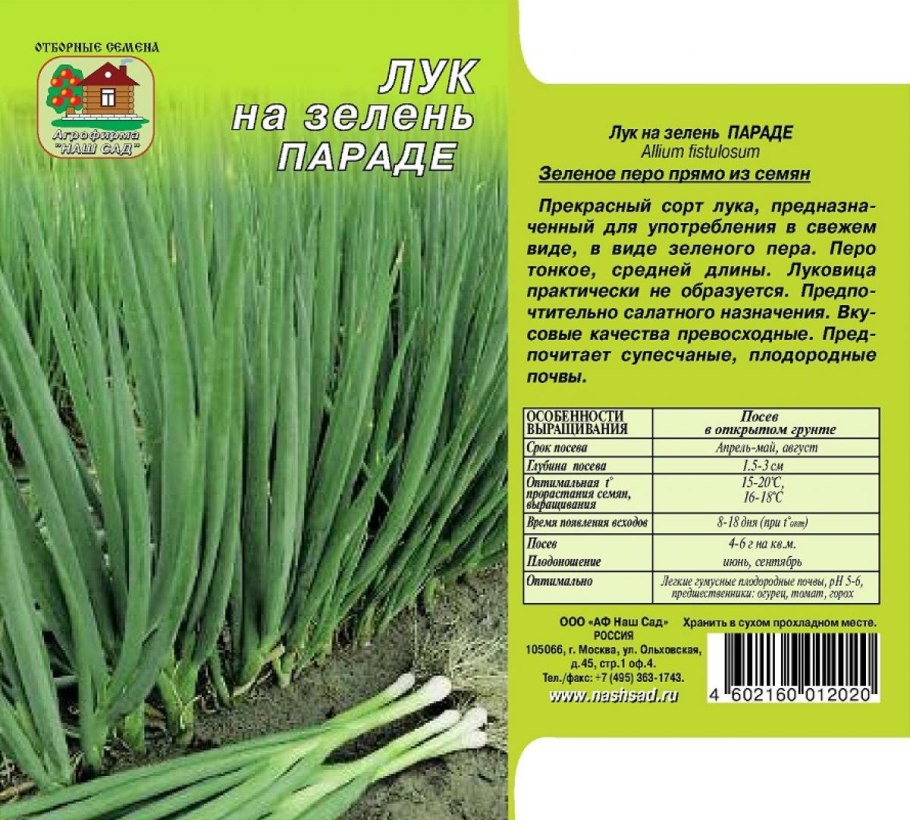Зеленый лук Валенсия