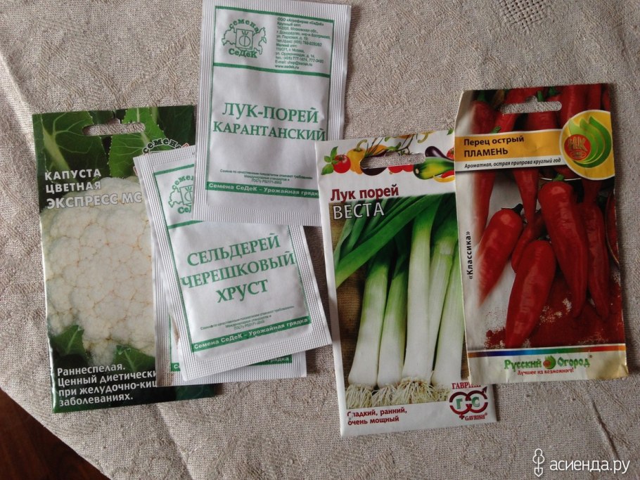 Лук порей победитель 1 г