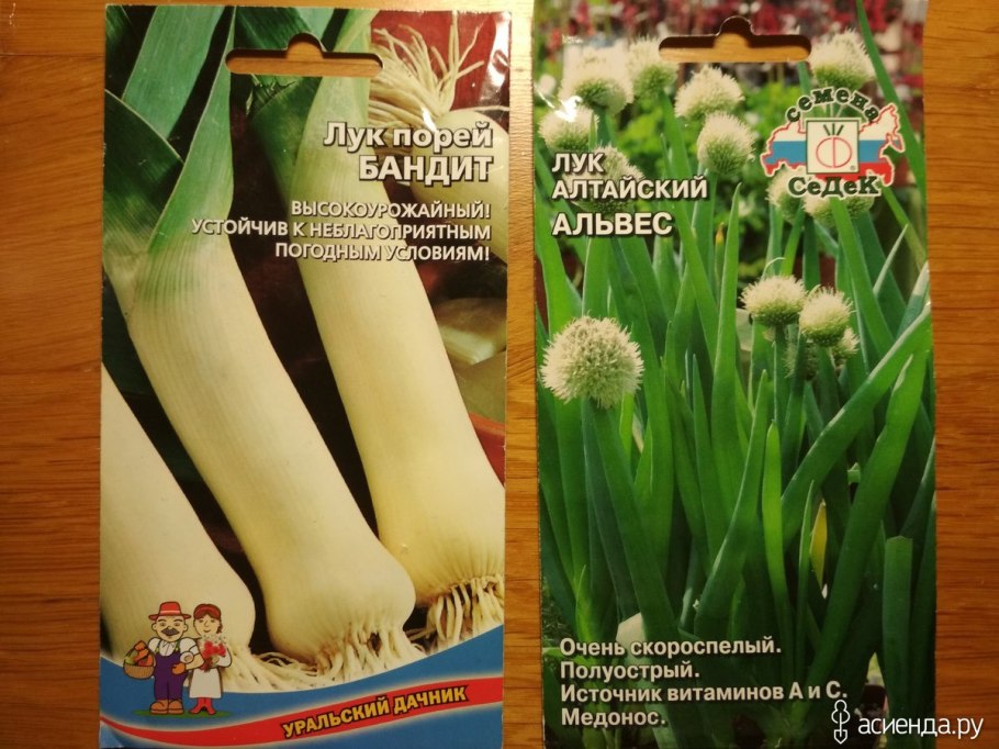 Лук порей из Гарри Поттера