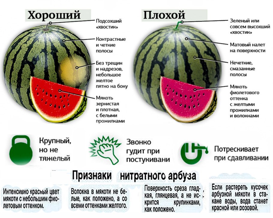 Прищипывание арбуза в открытом грунте схема