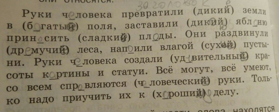Руки человека превратили Дикие земли в богатые поля