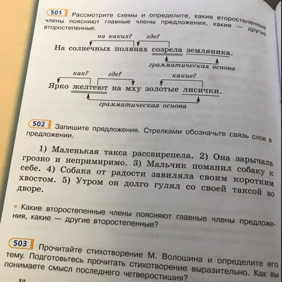 Загадка про яблоко для детей