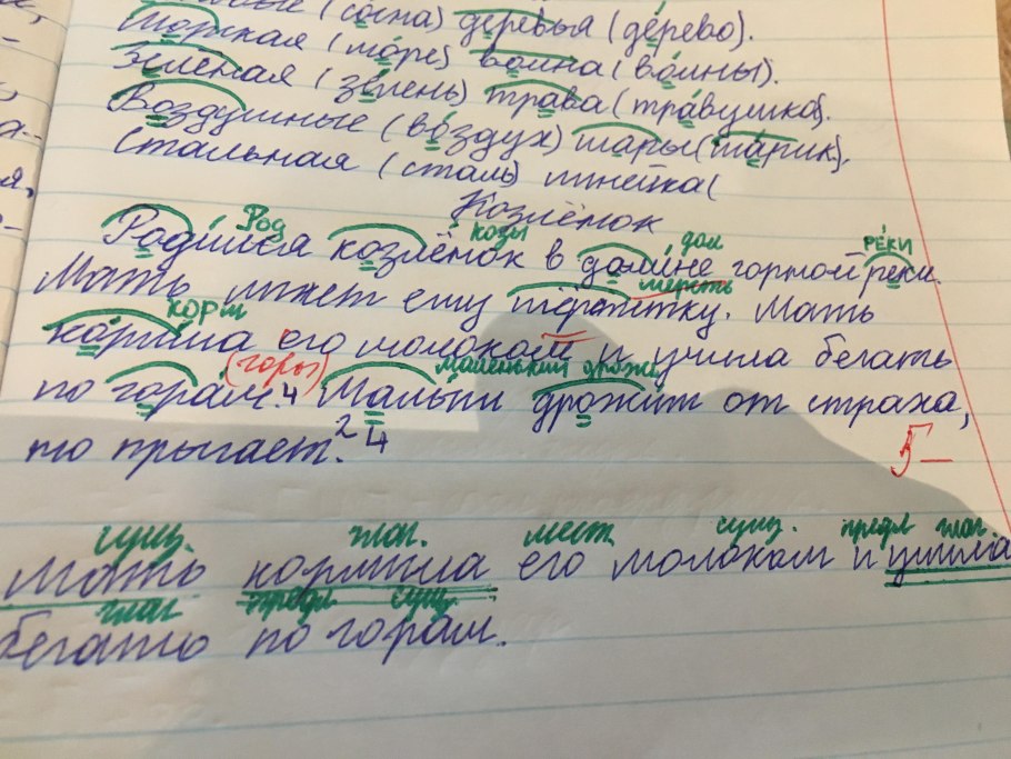 Выпиши недостающие буквы