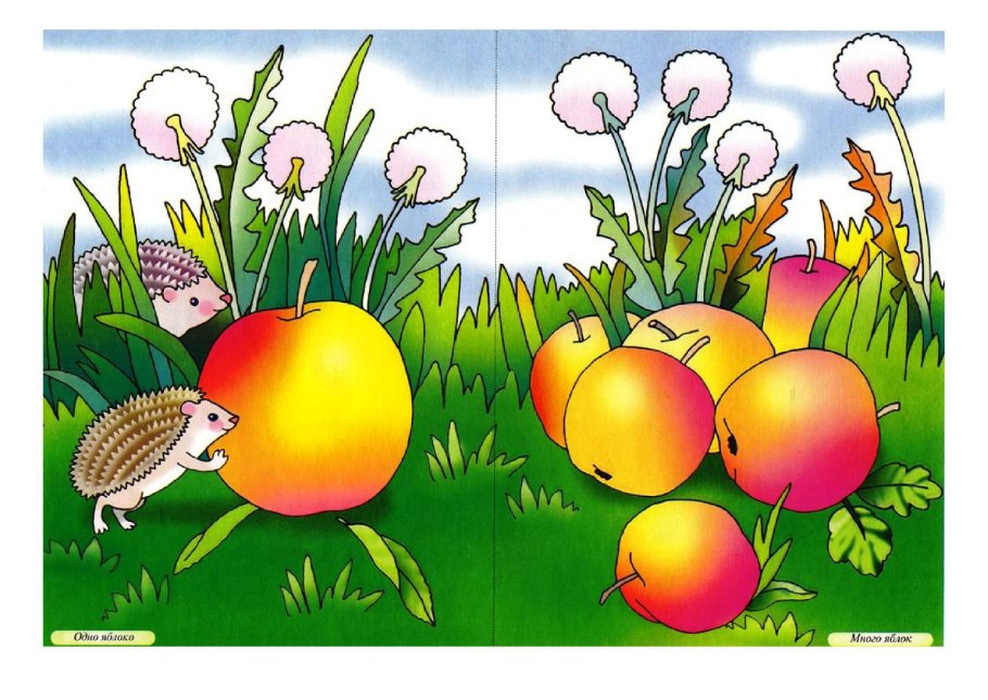 Туман разберите предложение по членам