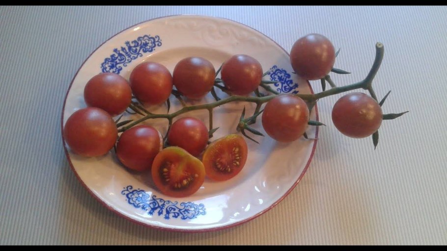 Томат черри шоколадный