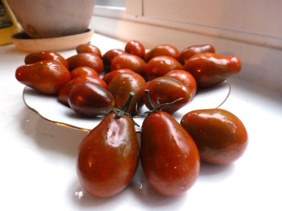 Томат Блэк черри