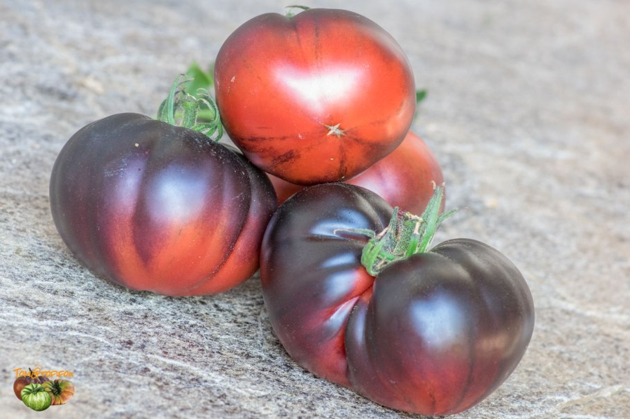 Томат "Блэк черри", раннеспелый