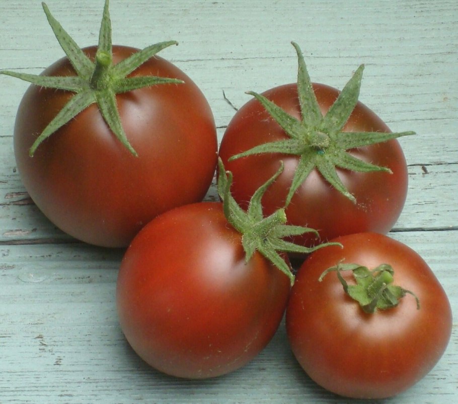 Томат черри - Блэк черри