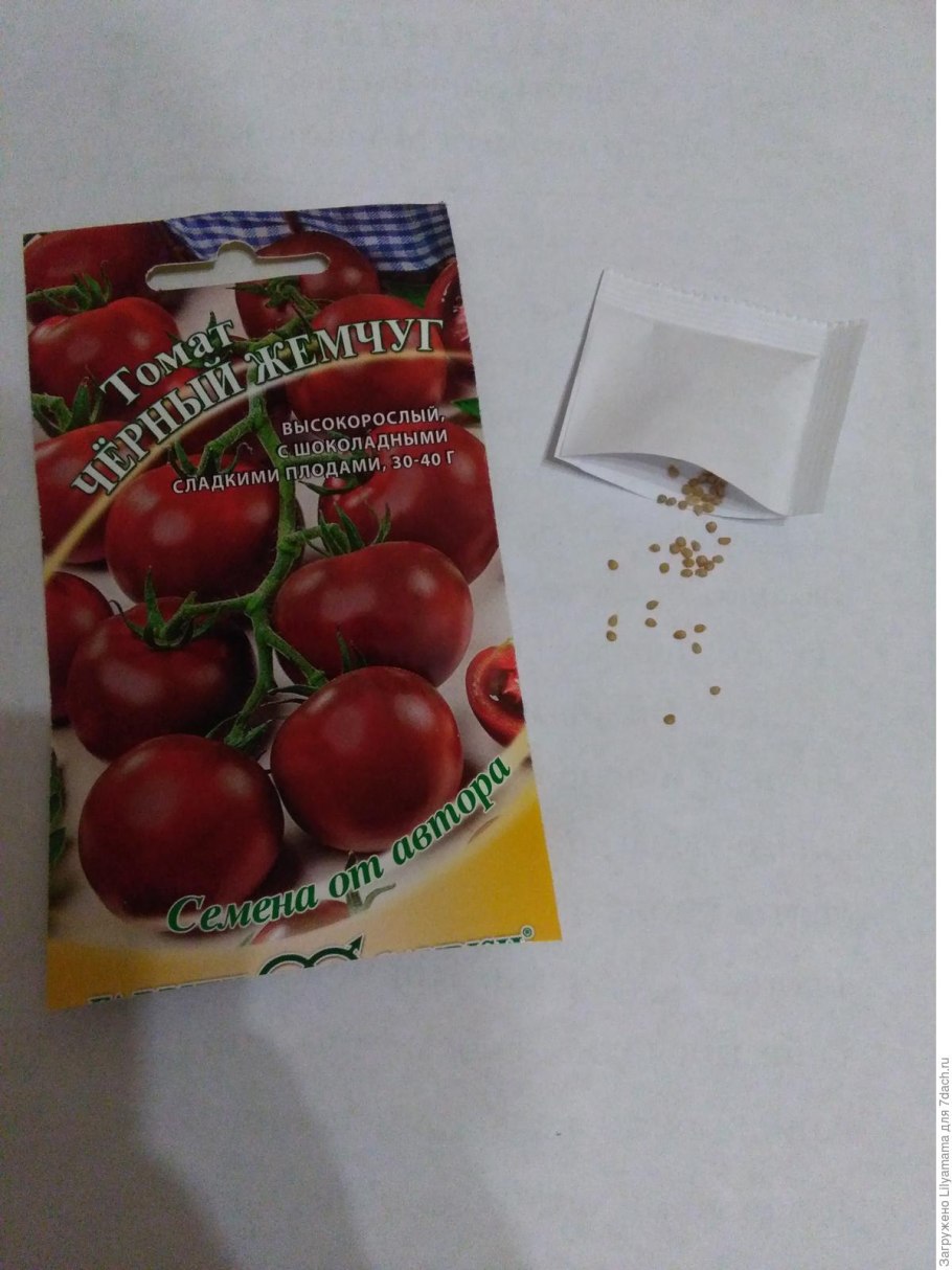 Гавриш томат чёрный жемчуг