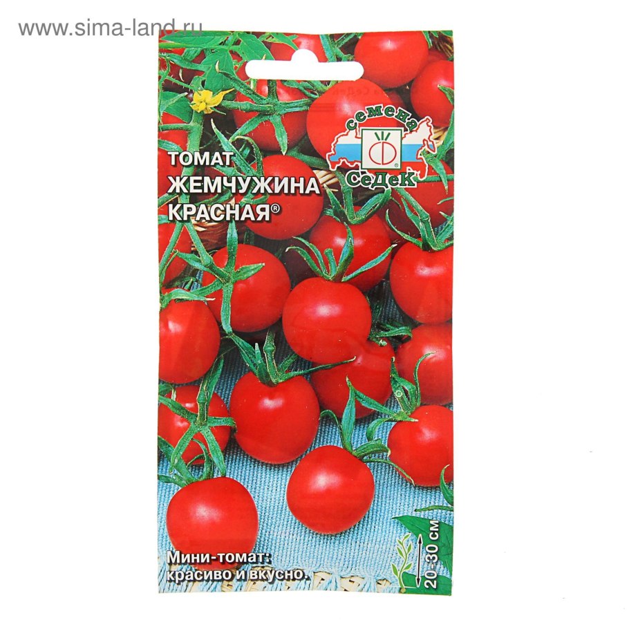 Томат чёрный Барон высота куста