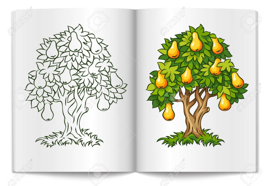 Цикл роста дерева