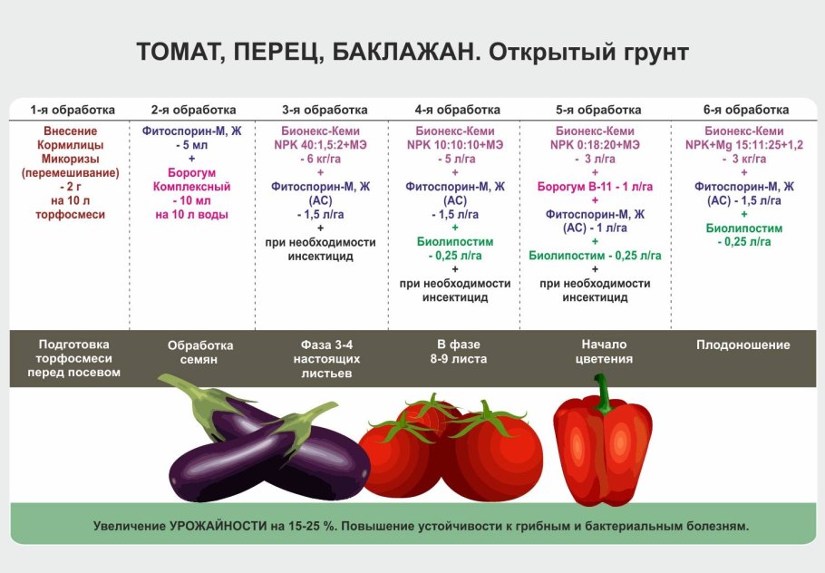 Строение плода томата