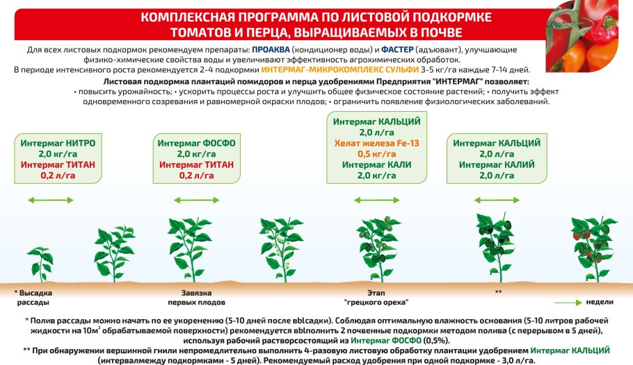 Схема пасынкования томатов