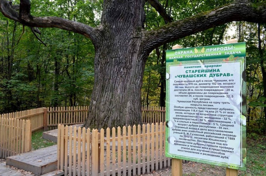 Спиши расставляя пропущенные буквы