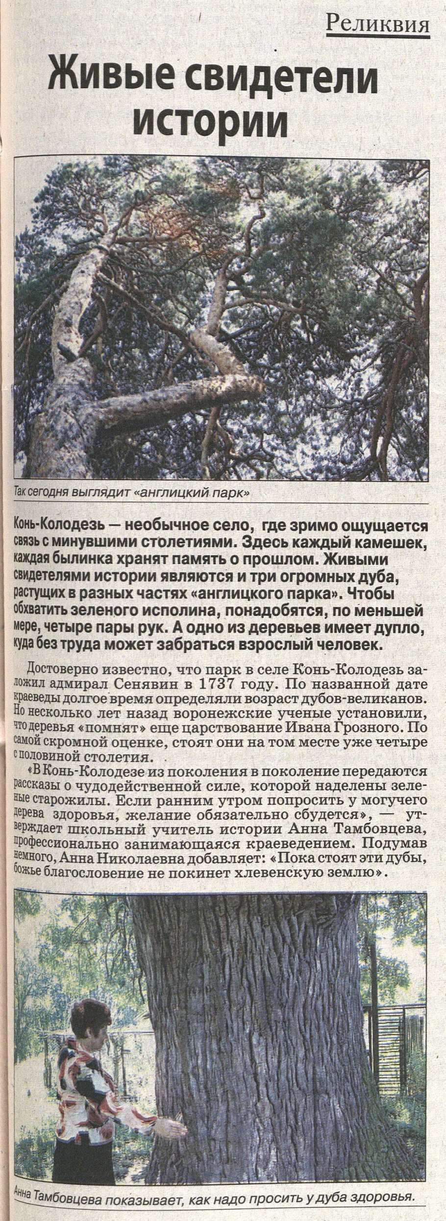 Дуб монумент