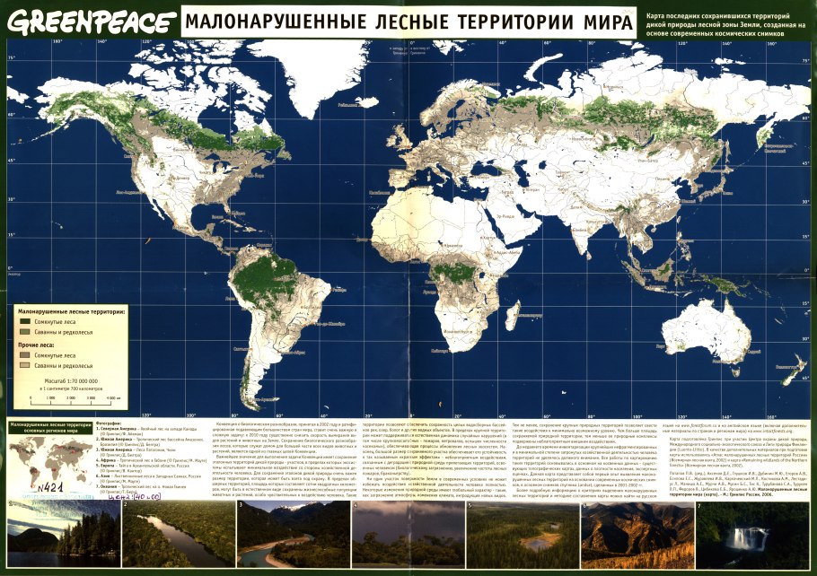 Карта лесов мира